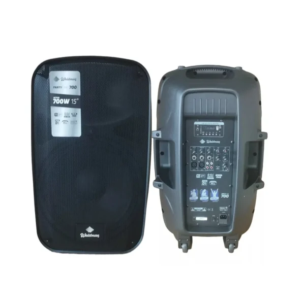 Caixa Amplificada Ativa Waldman PTY‑700 – 15″ - Imagem 2