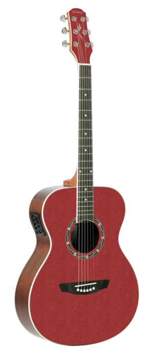 Violão Strinberg CO40C WR Cromo