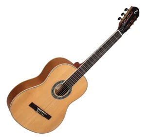 Violão Tagima Paraty NTS